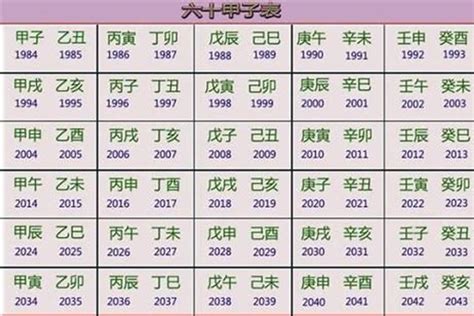 2028年五行属什么|2028年属什么生肖 2028年是什么生肖